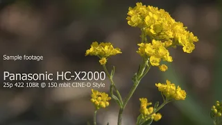 Panasonic HC-X2000 sample footage