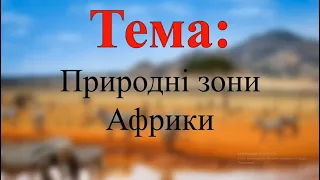 Природні зони Африки (вологі екваторіальні ліси, савани та рідколісся)