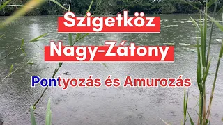 Szigetköz Nagy-Zátony Pontyozás és Amurozás 1.rész