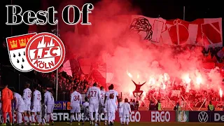 Best of 1. FC Köln Ultras/Fans