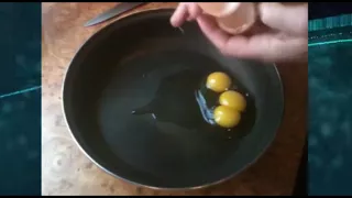 Куры охренели -три желтка в одном яйце.