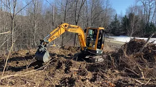 Hyundai R35z-9a grading and moving large stumps