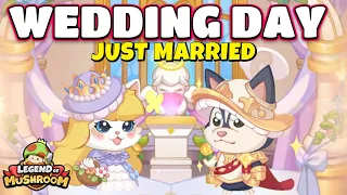 It's Time To Get Married In Legend Of Mushroom!