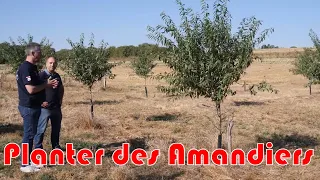 Planter des amandiers pour se diversifier ! Étape du Cofarming Tour !