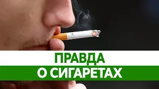 Интересные факты о курении. Правда о сигаретах!
