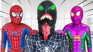 TEAM SPIDER-MAN Nerf War vs BAD GUY TEAM || Rescue The VENOM From BAD GUY TEAM ( Live Action )