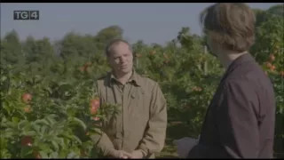 Crainn na hÉireann on TG4