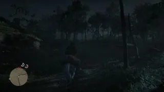 Red Dead Redemption 2 (guérir de la tuberculose attention Spoiler )