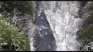 the "Real Proof - Drone Films Bigfoot" video