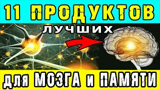 11 лучших ПРОДУКТОВ для МОЗГА и ПАМЯТИ 👍