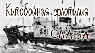 Китобойная флотилия СЛАВА , ЦКБ 14 , Плавбаза ВОСТОК , теория Судостроения , КБ Балт Судопроект