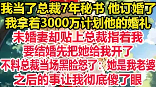 我当了总裁7年秘书 他订婚了，我拿着3000万计划他的婚礼，未婚妻却贴上总裁指着我：「要结婚先把她给我开了」不料总裁当场黑脸怒了：「她是我老婆」，之后的事让我彻底傻了眼!