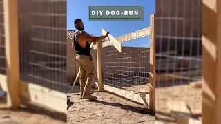 DIY Dog-run! | Backyard Reno Part 2. |