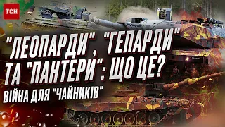 🐱 "Леопарди", "Гепарди" та "Пантери". Все про "котів", що наближають ПЕРЕМОГУ України!