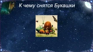 К чему снятся Букашки (Сонник)