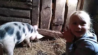 ШОК !🐖🐖,Karinu хотела поцеловать Свинка !!