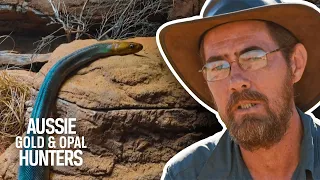 Jacqui & Andrew Are Left Stranded In Snake-Infested Land! | Aussie Gold Hunters