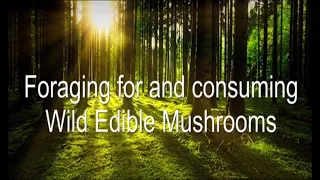 Wild Mushroom Foraging Basics