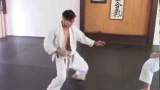 ippon kumite - with body shifting