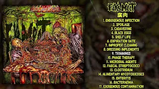 Fake Meat - 腐肉 FULL ALBUM (2022 - Goregrind)