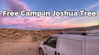 Free Camping in Joshua Tree | #adayinalife #vlog #fulltimetravel