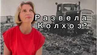 Что происходит на всех участках? И что будет в холодных регионах через месяц?