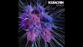 Soulacybin - Zalamander