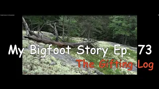 My Bigfoot Story Ep. 73 - Gifting Log Surprise