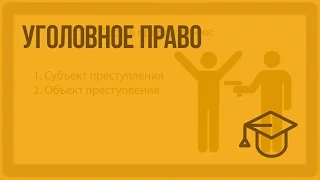 Уголовное право. Видеоурок по обществознанию 10 класс