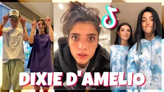 Dixie D'Amelio TikTok Compilation