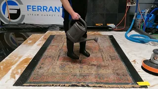 Washing a Very Dirty Oriental Rug! See How we did it