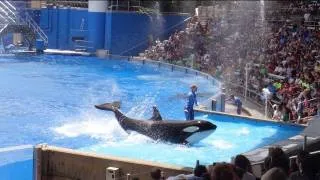 One Ocean (Full Show) SeaWorld Orlando