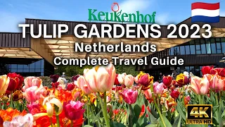 🇳🇱 Keukenhof Gardens 2023 | Tulip Garden Netherlands - Complete Travel Guide #keukenhof #tulipgarden