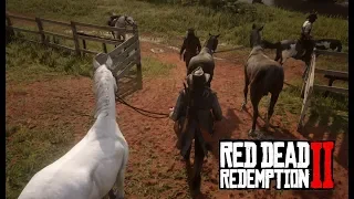 Red Dead Redemption 2 - Stealing Braithwaites Horses