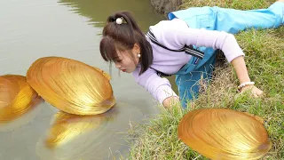 🔥Treasures in the river! The girl grabbed the huge clam shell and harvested a box of precious pearls