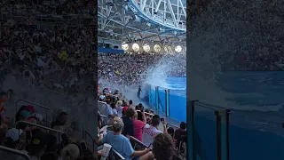 Финал части 4 – короткометражки Orca Encounter 4K – SeaWorld Orlando – 4 сентября 2023 г.