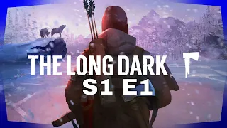 The Long Dark | Season 1 Episode 1 | Cold, Dark and Scary! I 💜 IT!!!!!