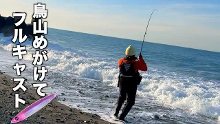 鳥が群がりイワシが打ち上がる海にリアルなイワシを投げ込むと！！