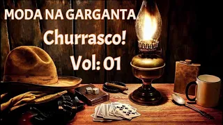 MODA NA GARGANTA! (churrasco vol:01) #modão #modaosertanejo #tiaocarreiro #boteco