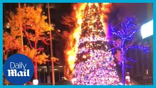 Fox News Christmas tree set on fire outside News Corp building