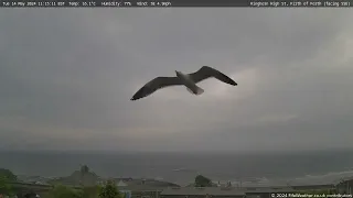 14 May 2024 - Kinghorn WeatherCam Timelapse