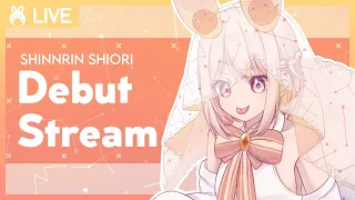 Shinnrin Ghost Bunny Vtuber DEBUT STREAM!