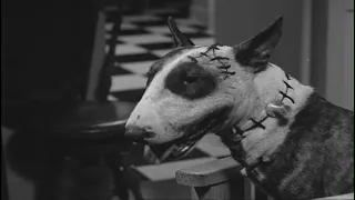 Франкенвини / Frankenweenie (1984)