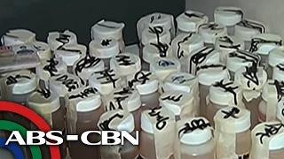 Bandila: Random drug tests sa senior high school, ipapatupad na