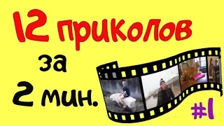 ЛУЧШИЕ ПРИКОЛЫ 2016 #1