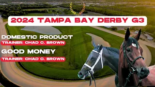 2024 Tampa Bay Derby G3