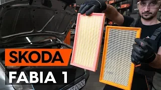 Как заменить воздушный фильтр двигателя на SKODA FABIA 1 (6Y5) [ВИДЕОУРОК AUTODOC]