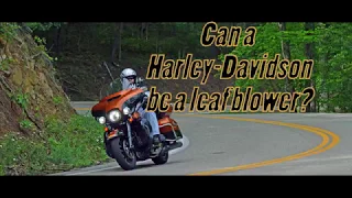 Harley Leaf Blower?