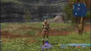 Seitengrat's arrow easter egg. Final Fantasy XII Zodiac Age