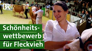 Gesucht und gefunden: die schönste Simmentaler Kuh Deutschlands | Fleckvieh | Unser Land | BR